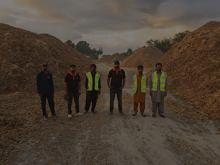 Credit & Risk Intelligence