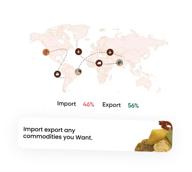 Import/Export