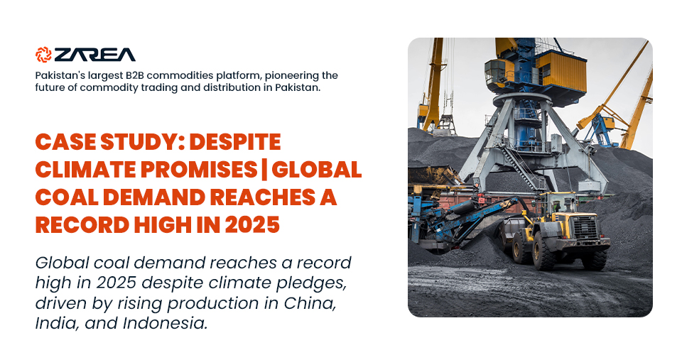 Case Study: Despite Climate Promises | Global Coal Demand Reaches a Record High in 2025